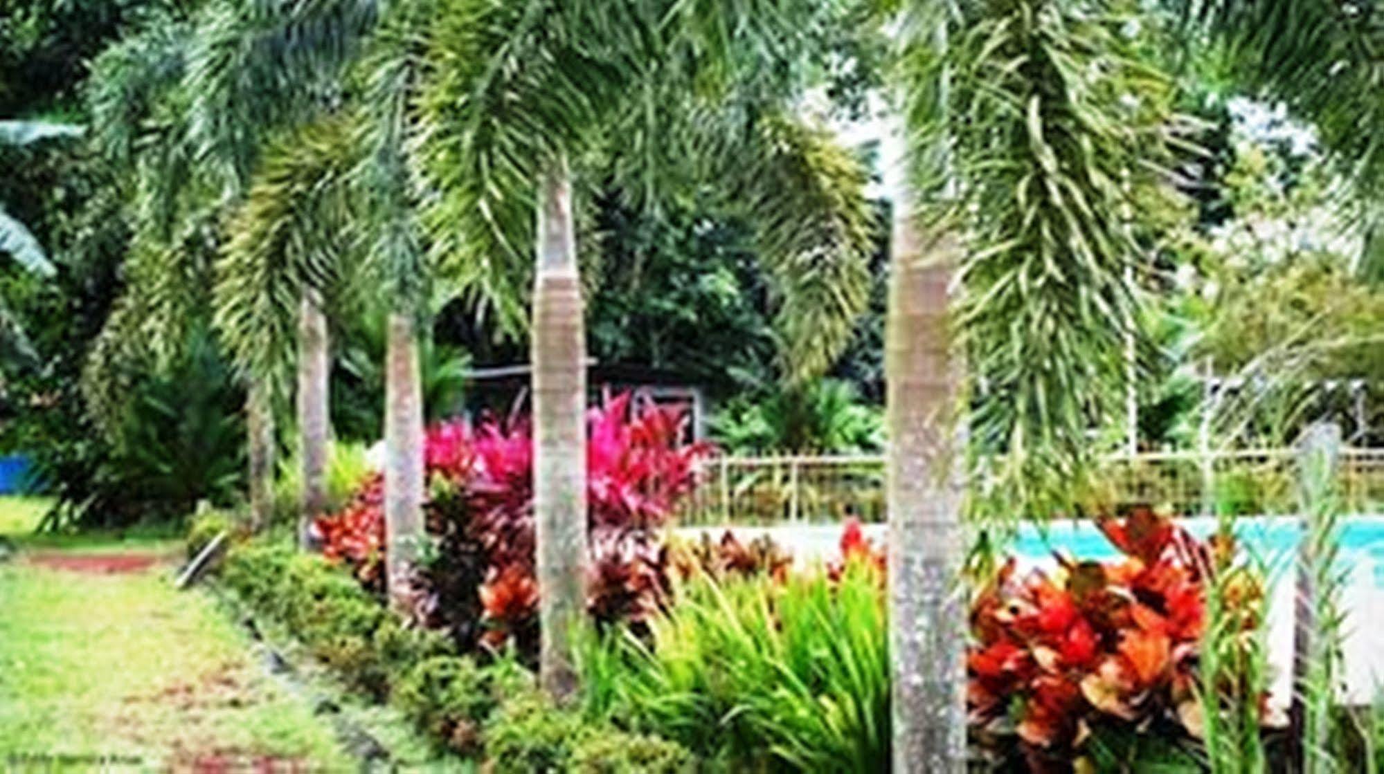 Hotel Colores del Arenal La Fortuna Exterior foto